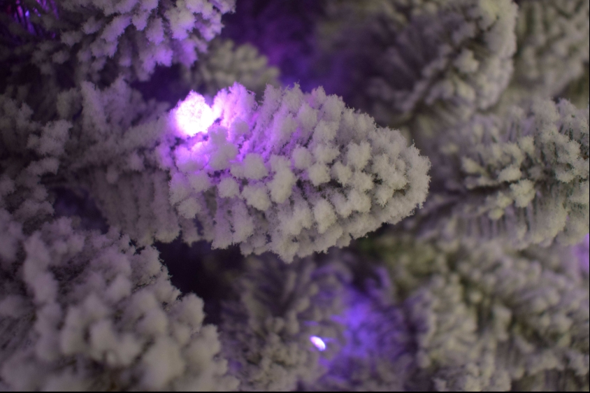Best Selling Flocked Artificia - Home Decor Lighting Manufacturer 评论和价格