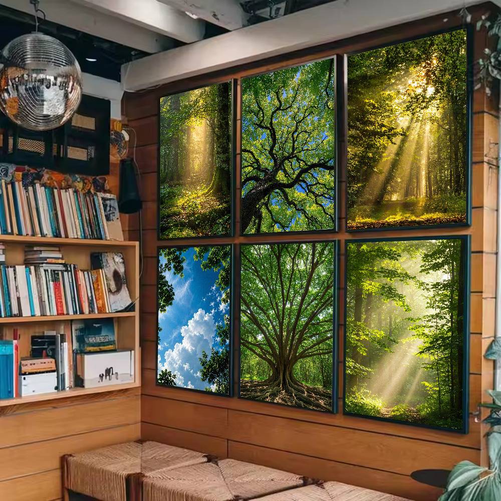 Sunbeam Forest Nature Poster,  - Wall Decor Lighting Tree 评论和价格