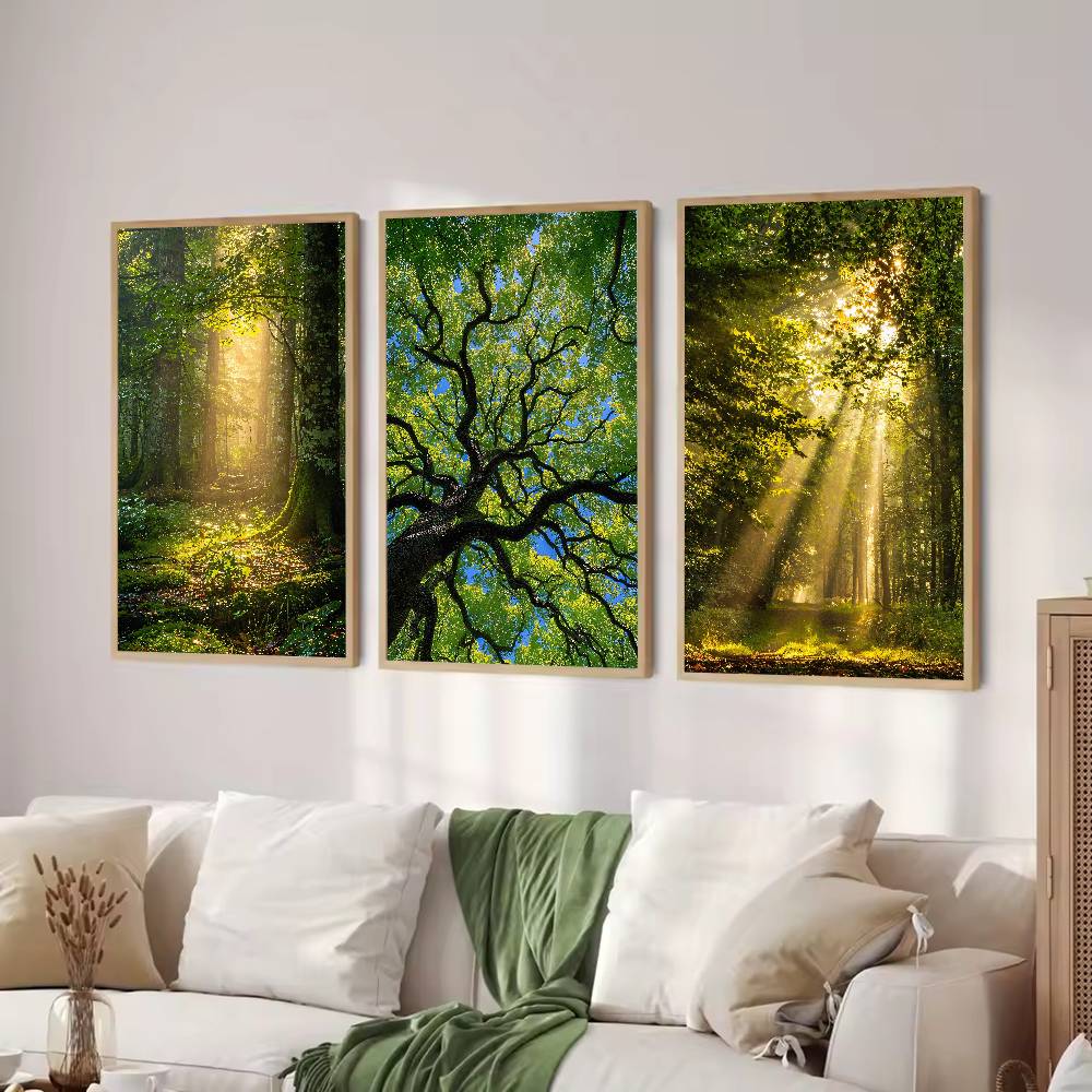 Sunbeam Forest Nature Poster,  - Wall Decor Lighting Tree 评论和价格