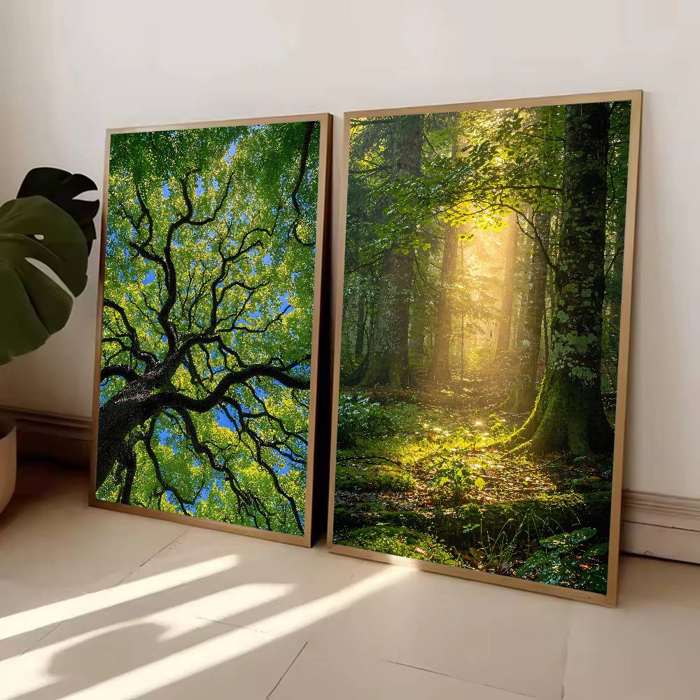 Sunbeam Forest Nature Poster,  - Wall Decor Lighting Tree 评论和价格