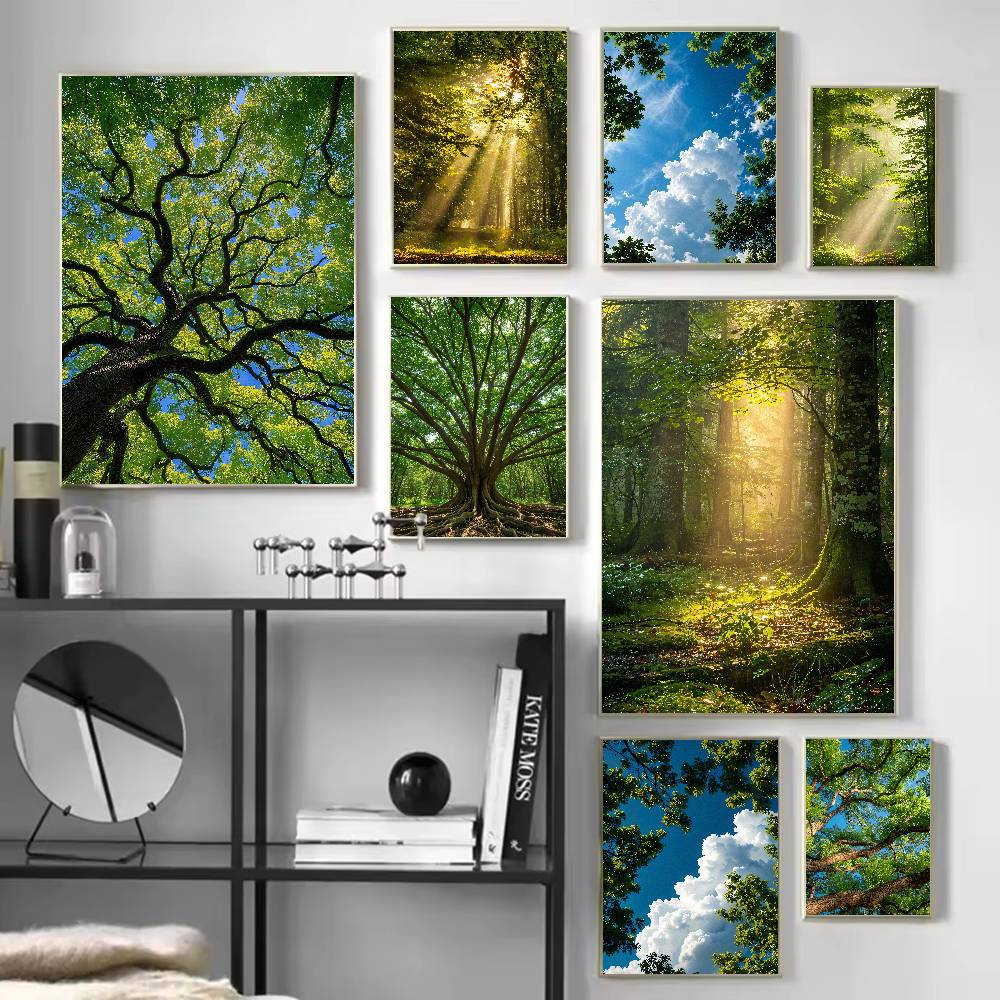 Sunbeam Forest Nature Poster,  - Wall Decor Lighting Tree 评论和价格